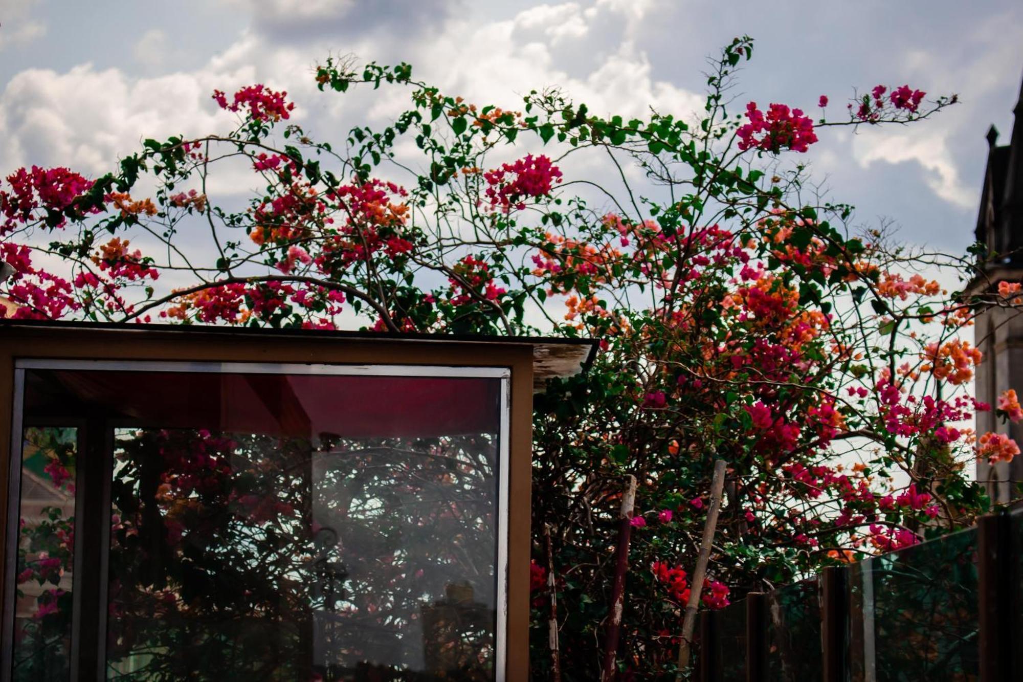 Boutique Hotel Casa Teatro Manaus Exterior photo